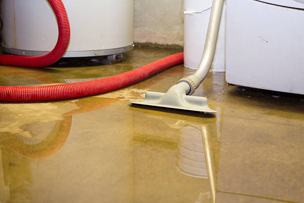 Best Sewage cleanup and water damage restoration  in USA